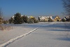 Osowa zima 2009-10 (35)